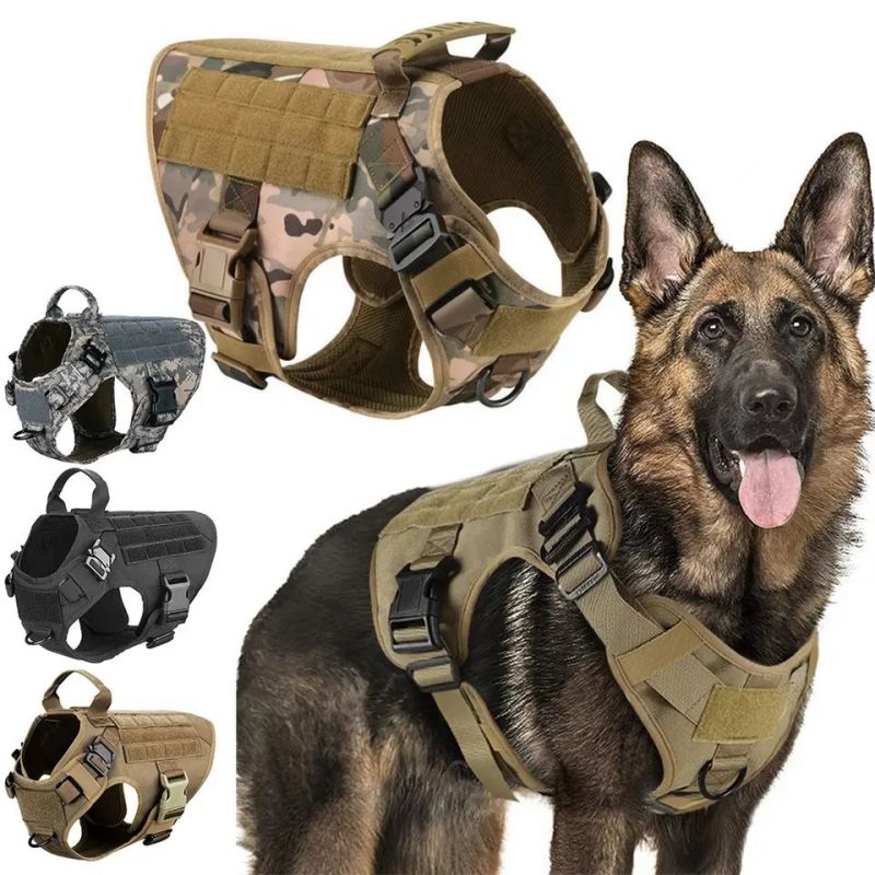 Grouss Hausdéier Harness Vest Hond Juegd Mantel